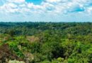 Amazonas registra menor número de focos de calor para setembro desde 2002, aponta Inpe