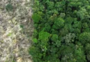 Mudanças climáticas já afetam cotidiano da população na Amazônia Legal