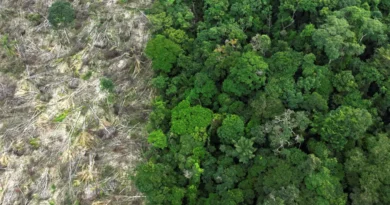 Mudanças climáticas já afetam cotidiano da população na Amazônia Legal