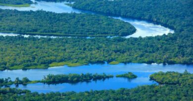 Governo do Amazonas registra em novembro o menor número de focos de calor desde 2021