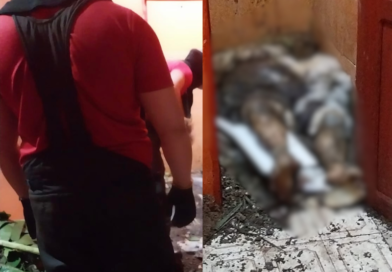 VEJA: Corpo de idoso desaparecido é encontrado enterrado em banheiro de kitnet na zona leste de Manaus