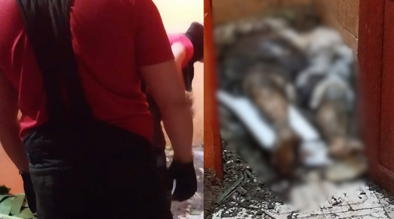 VEJA: Corpo de idoso desaparecido é encontrado enterrado em banheiro de kitnet na zona leste de Manaus