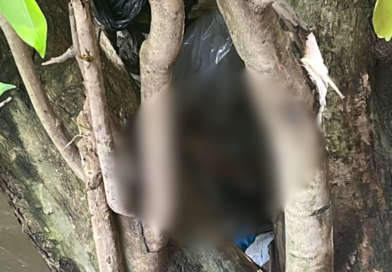 Moradores encontram parte de corpo humano em igarapé no Fátima 1, em Manaus