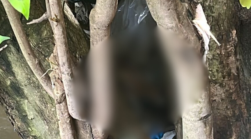 Moradores encontram parte de corpo humano em igarapé no Fátima 1, em Manaus