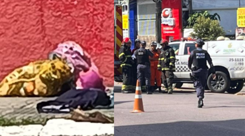 VEJA: Homem é detido com suposto artefato explosivo e facas dentro de ônibus no Centro de Manaus