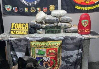 Com ajuda de cão Athena, polícia encontra 11 kg de skunk em bagagem e prende mulher