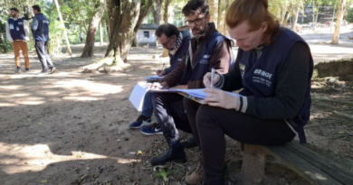 IBGE abre inscrições para 8.238 vagas temporárias