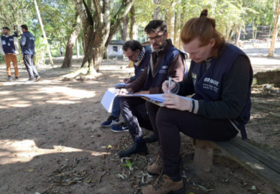 IBGE abre inscrições para 8.238 vagas temporárias