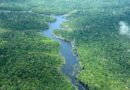 Área desmatada no Amazonas cai 57% nos cinco primeiros meses de 2026, apontam dados do Inpe