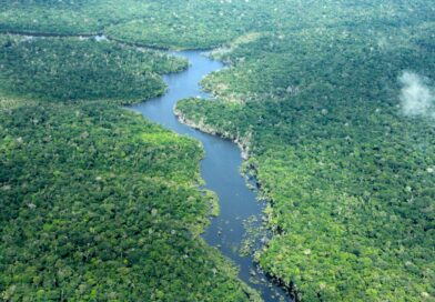 Área desmatada no Amazonas cai 57% nos cinco primeiros meses de 2026, apontam dados do Inpe