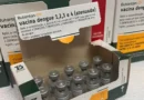 Ministério da Saúde suspende vacina contra a dengue do Butantan