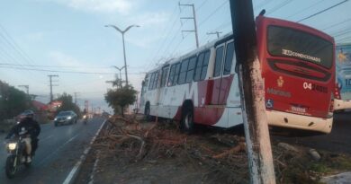 Ônibus da linha 350 colide com árvore e interdita trecho da Avenida Noel Nutels, em Manaus