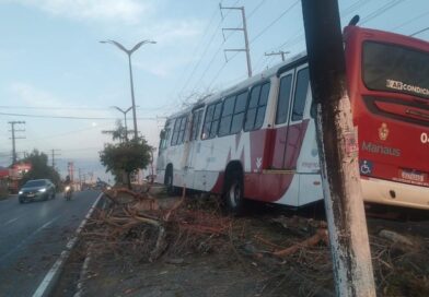 Ônibus da linha 350 colide com árvore e interdita trecho da Avenida Noel Nutels, em Manaus