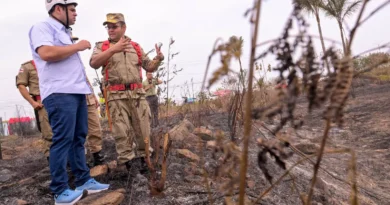 Roberto Cidade fiscaliza combate a incêndio de grandes proporções na AM-070