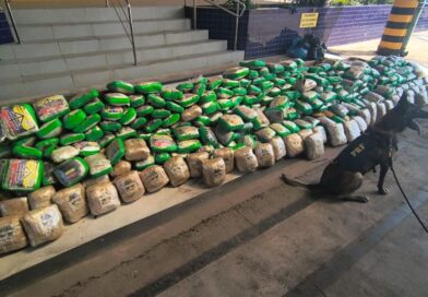 Cães farejadores localizam quase 300 kg de drogas em caminhão