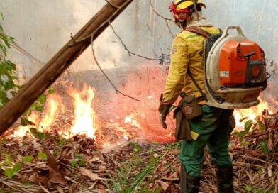 Governo Federal Mobiliza Ações e Reforça Contingente no Combate a Incêndios Florestais no Amazonas