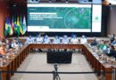 Onze pessoas foram presas no interior por suspeita de crime ambiental