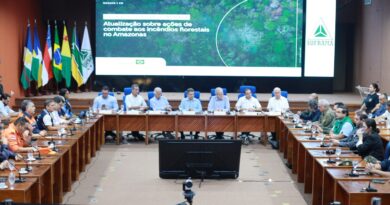 Onze pessoas foram presas no interior por suspeita de crime ambiental